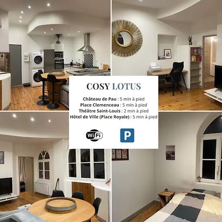 Cosy Lotus 1Ch - Place Verdun & Parking Pau Zewnętrze zdjęcie